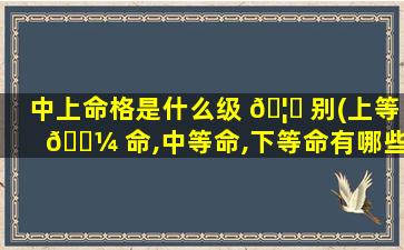 中上命格是什么级 🦟 别(上等 🌼 命,中等命,下等命有哪些)